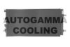 AUTOGAMMA 107079 Condenser, air conditioning